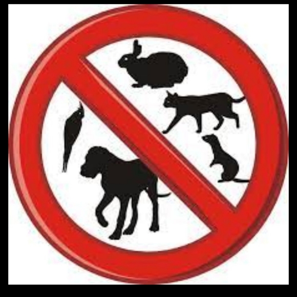 Disney Princess Tee - Picture 4 of 4